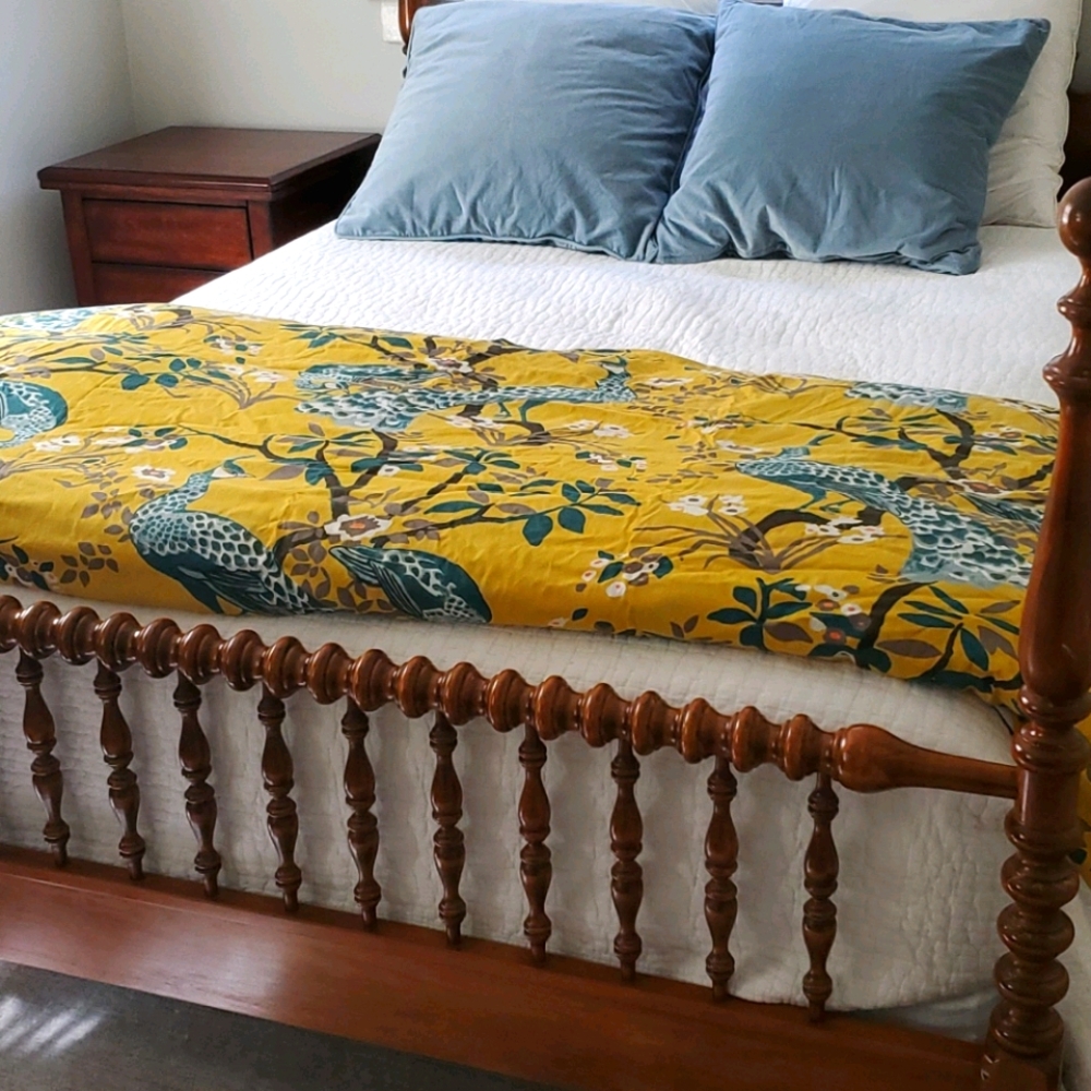 DwellStudio Peacock Duvet in Citrine